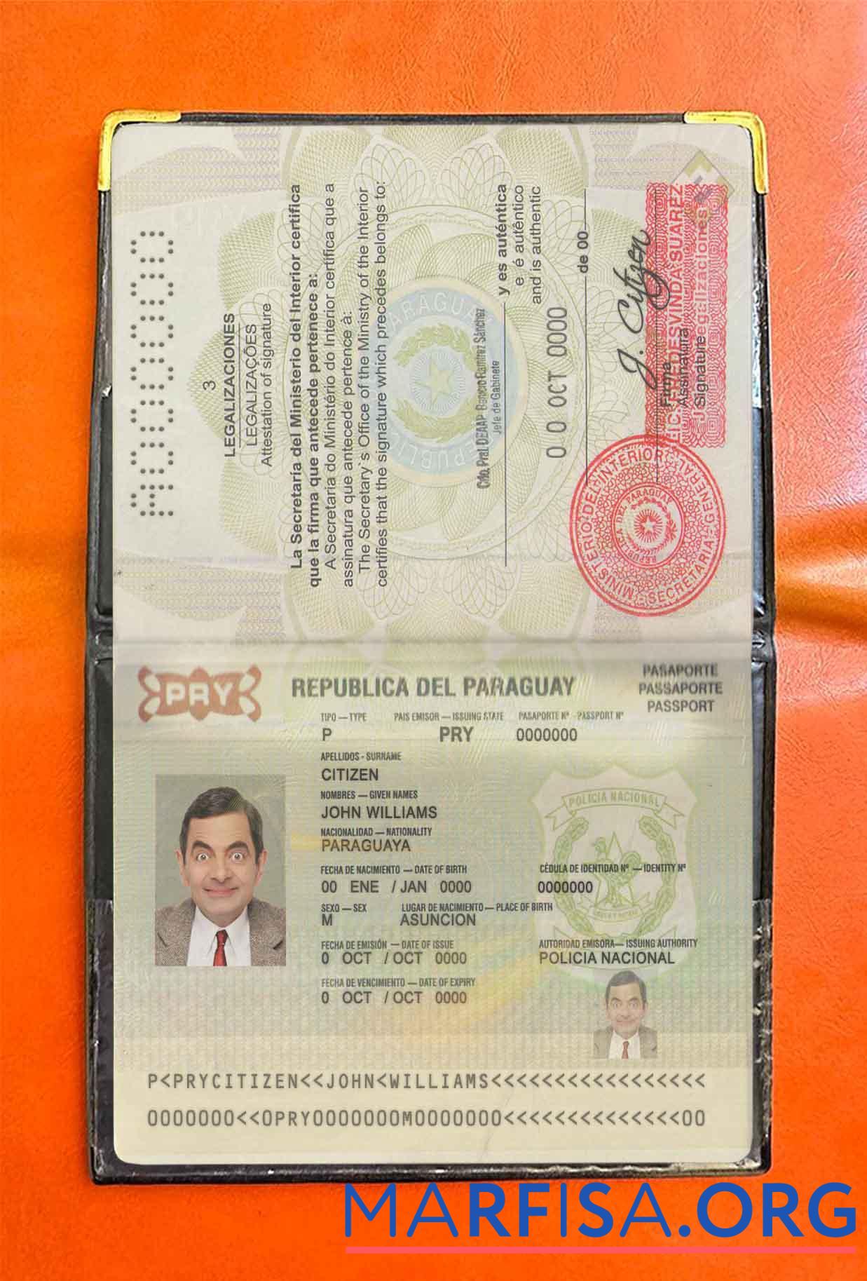 Downloadable Paraguay passport photo look template